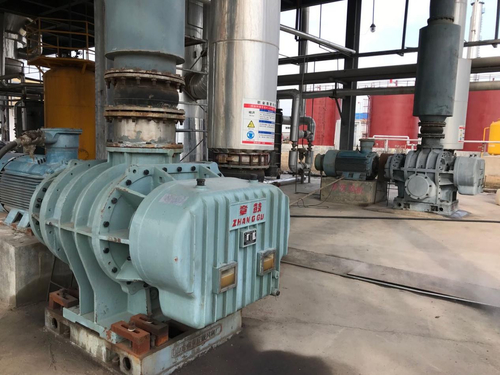 trường hợp công ty mới nhất về Dự án thổi rễ