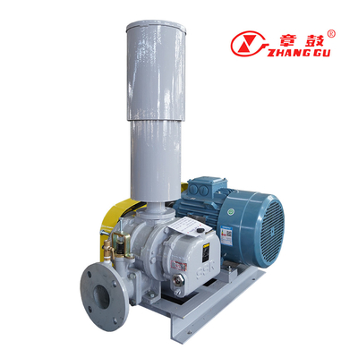 SSR Roots Vacuum Pump Roots Booster Vacuum Pump cho các quy trình quan trọng