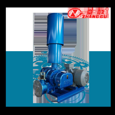 SSR Roots Vacuum Pump Roots Booster Vacuum Pump cho các quy trình quan trọng