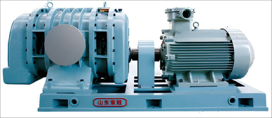 Máy bơm thổi gốc dòng chảy lớn L Series cho các ứng dụng hạng nặng