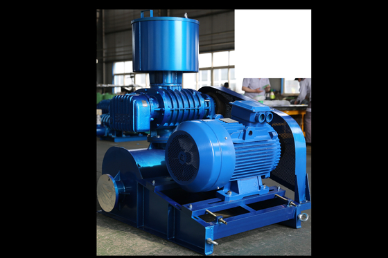 Máy thổi rễ tùy chỉnh để tăng năng suất và tiết kiệm năng lượng trong hoạt động sản xuất